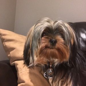 Meet your Posher, Mirasol